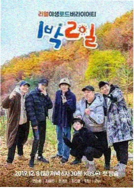 城市漫游者免费综艺在线观看封面